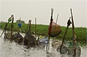 d172_Benin - Version 2
